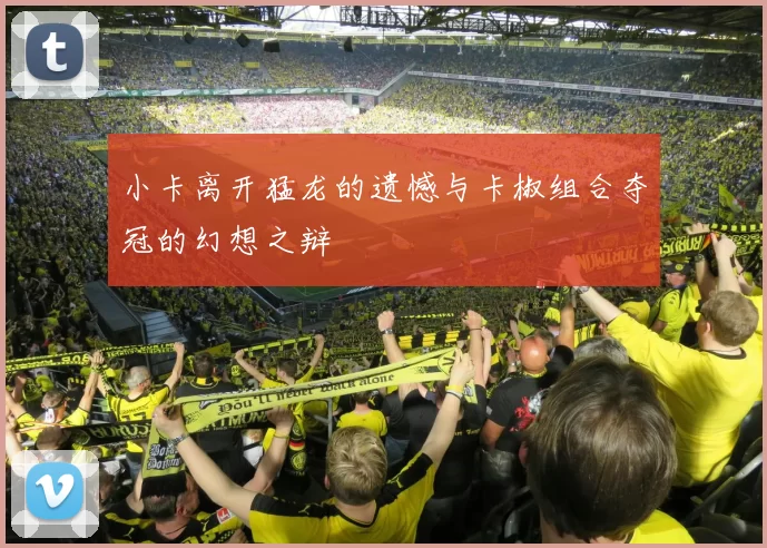 小卡离开猛龙的遗憾与卡椒组合夺冠的幻想之辩